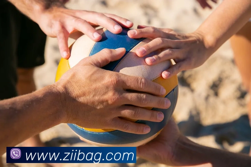 ag官网APP 封面图